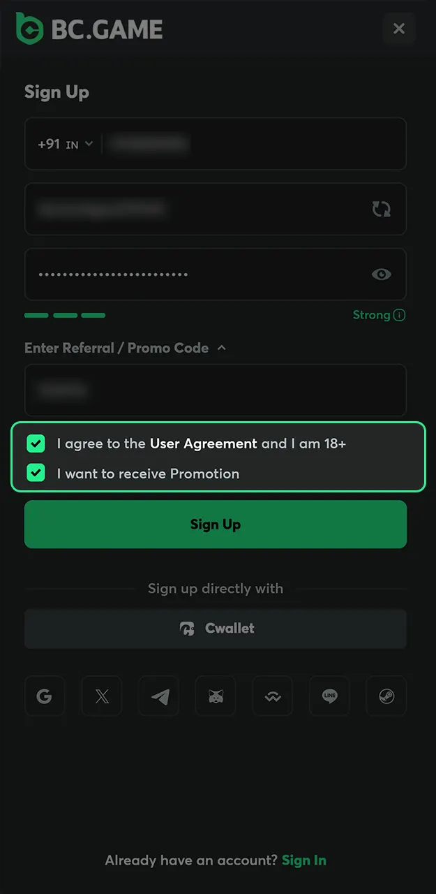 Please confirm your age and accept the site rules to complete your BC Game account registration.
