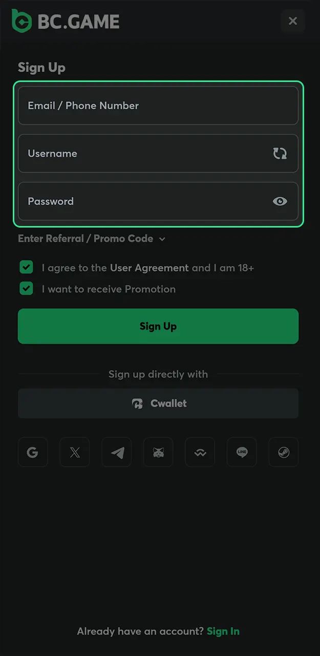 Provide your email or mobile number to set up your personal BC Game profile.