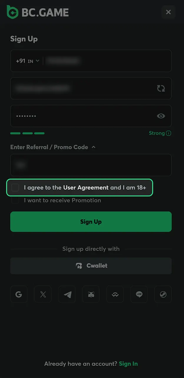 Confirm your age and accept the user agreement to complete your registration with BC Game.
