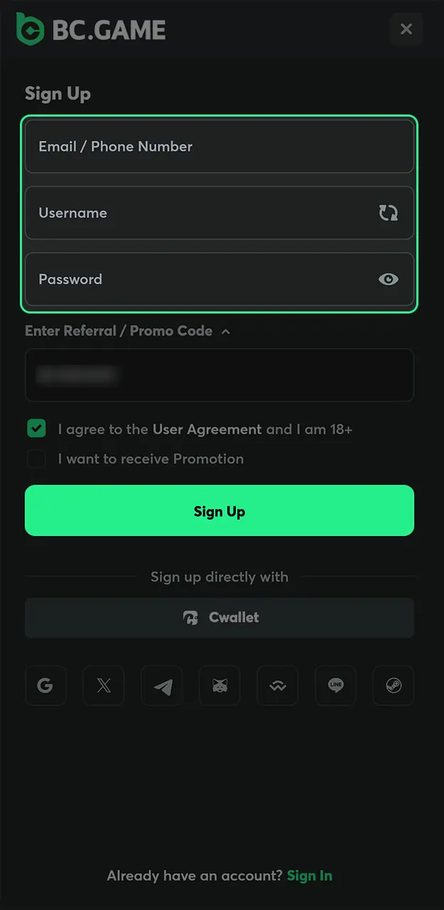 Complete the registration process to receive bonuses for entering the promo code on BC Game.