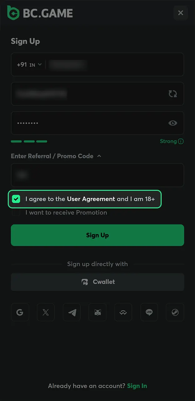 Confirm your age on BC Game for successful registration.