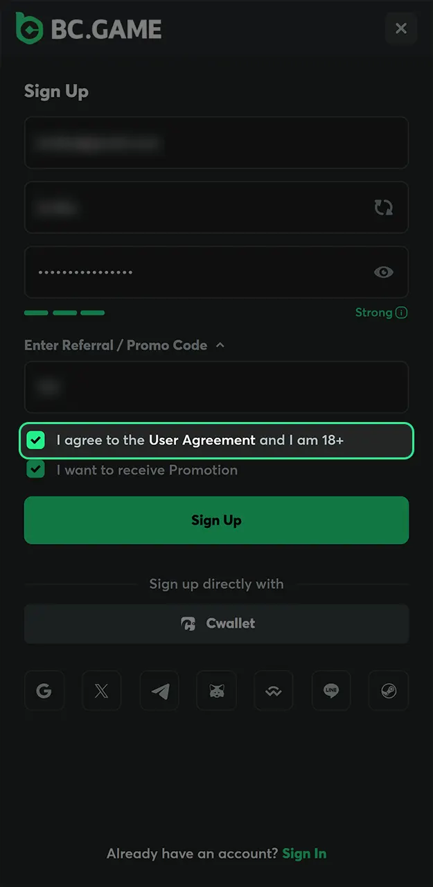 Accept the platform rules to complete your registration with BC Game and start placing bets.